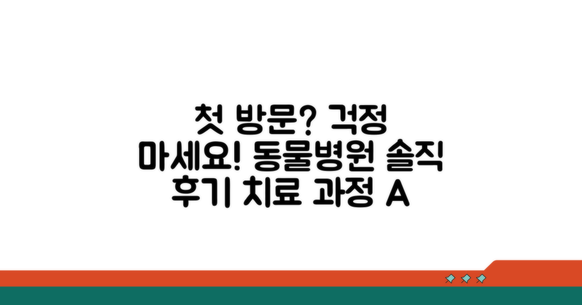 동물병원 방문, 치료 과정 안내