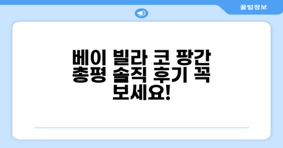 베이 빌라 코 팡간 총평