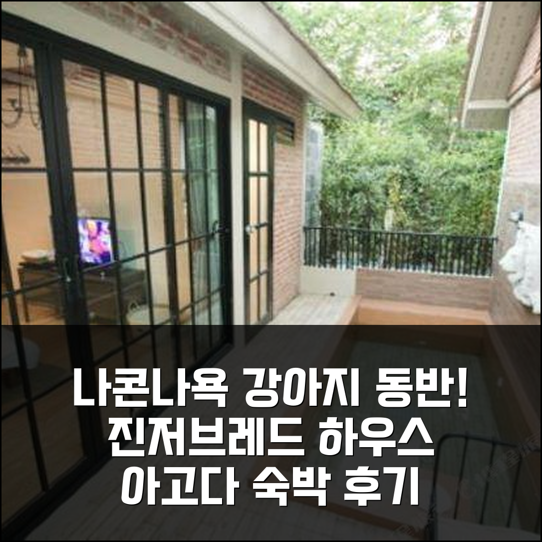 나콘나욕, 우리 강아지랑 함께! 진저 브레드 하우스 후기
