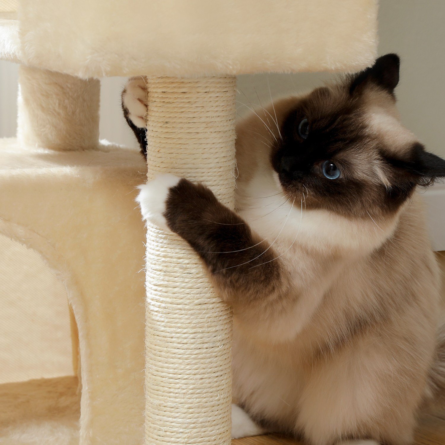 PAWZ Road 4단 소형 패브릭 캣타워 더블 숨숨집 고양이 하우스, 1개, 베이지할인· 5일 남음 상세 이미지 1